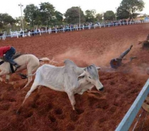 Vaquejada de Gov. Valadares pode não ocorrer pelo terceiro ano consecutivo