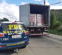 Carga com 20 mil litros de cerveja é apreendida na BR-116